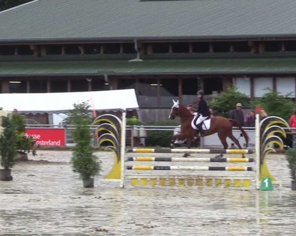 Reitturnier Coesfeld/Lette 2017