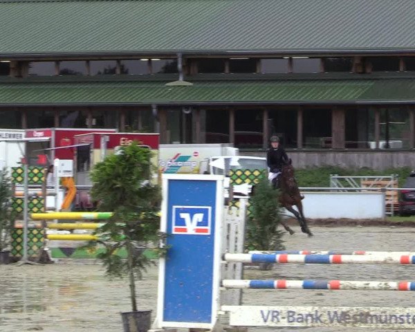 Reitturnier Coesfeld/Lette 2017