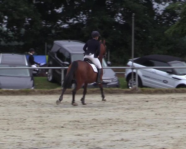 Reitturnier Coesfeld/Lette 2017