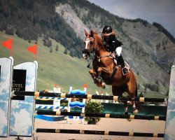 Springpferd Kwikstar (Deutsches Reitpony, 2006, von Nescio)