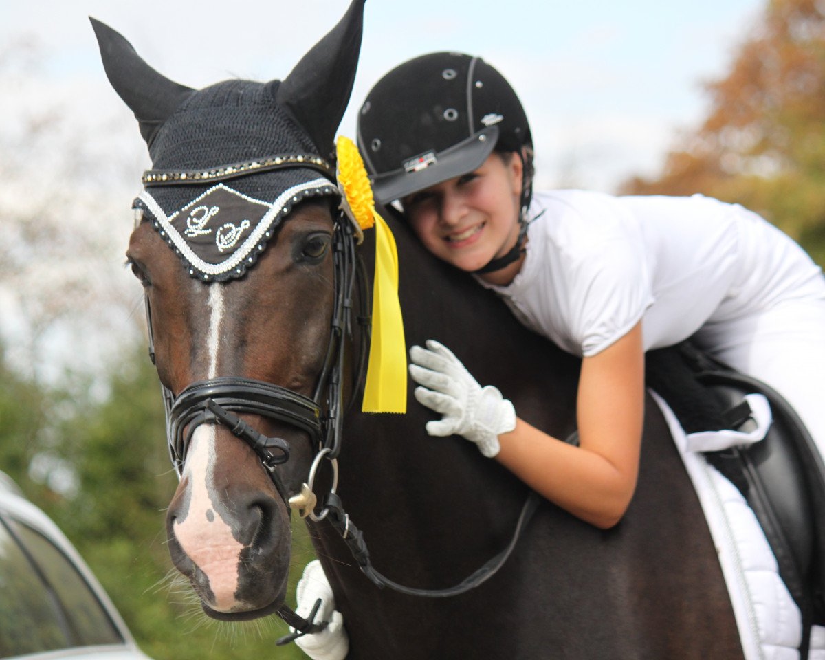 dressage horse Zironetje (KWPN (Royal Dutch Sporthorse), 2003, from Rhodium)
