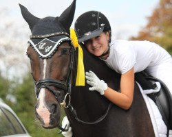 Dressurpferd Zironetje (KWPN (Niederländisches Warmblut), 2003, von Rhodium)