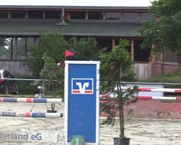 Reitturnier Coesfeld/Lette 2017