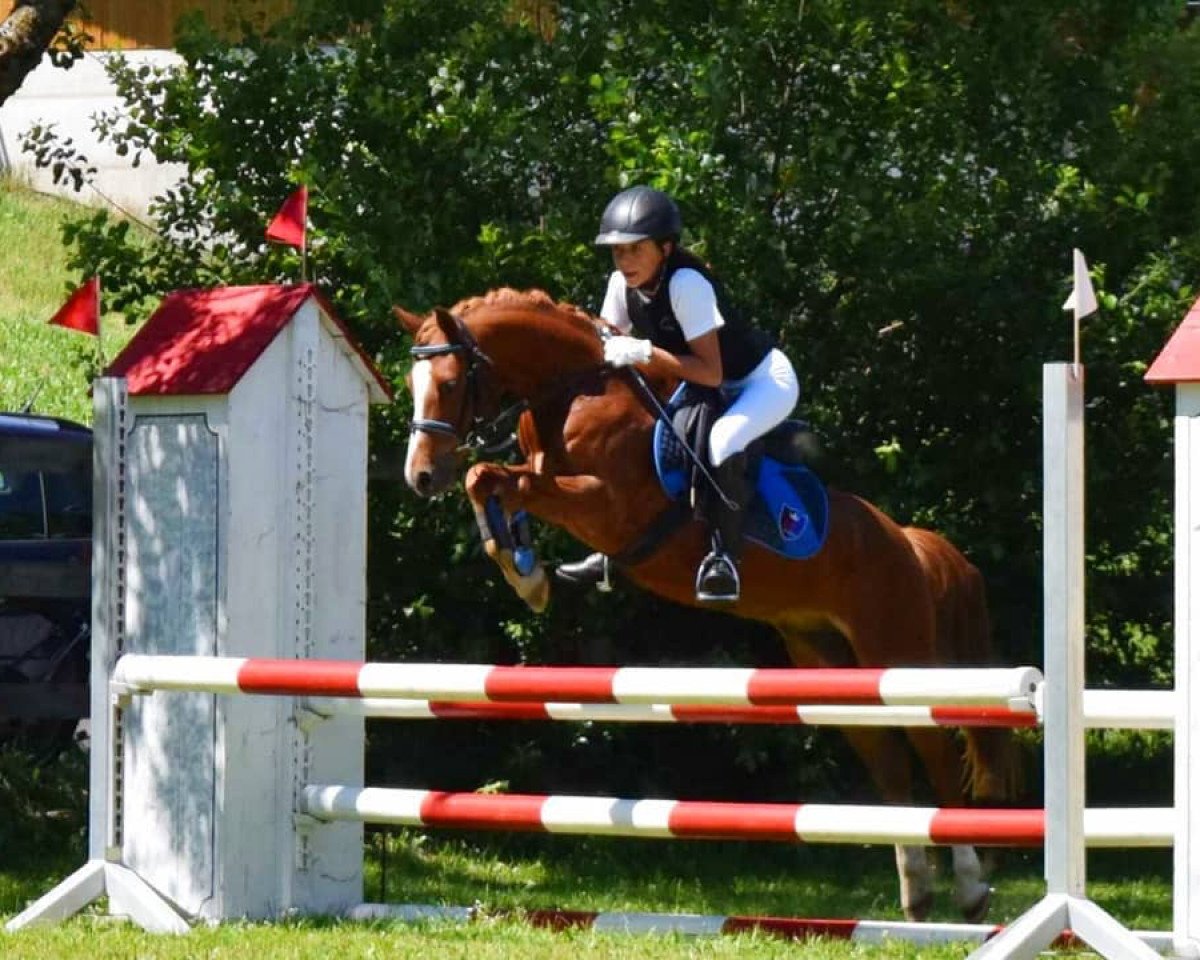 jumper Further´s Rasputin (Welsh-Pony (Section B), 2004, from Aelvengrey Merlynne)