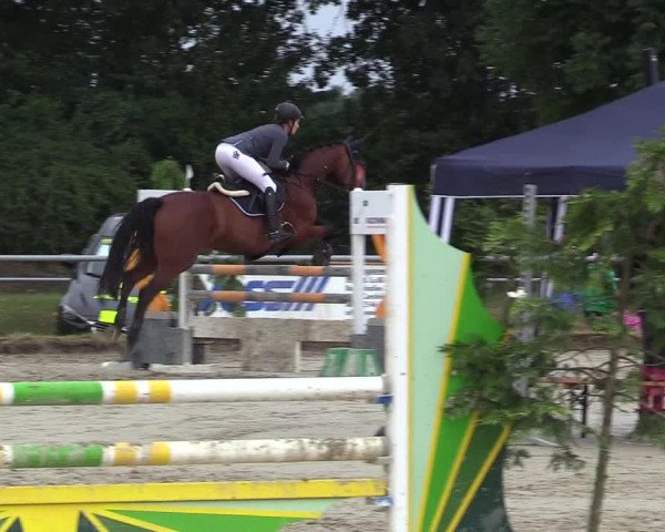 Reitturnier Coesfeld/Lette 2017