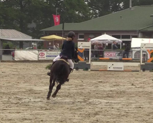 Reitturnier Coesfeld/Lette 2017