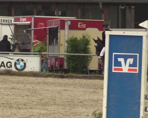 Reitturnier Coesfeld/Lette 2017