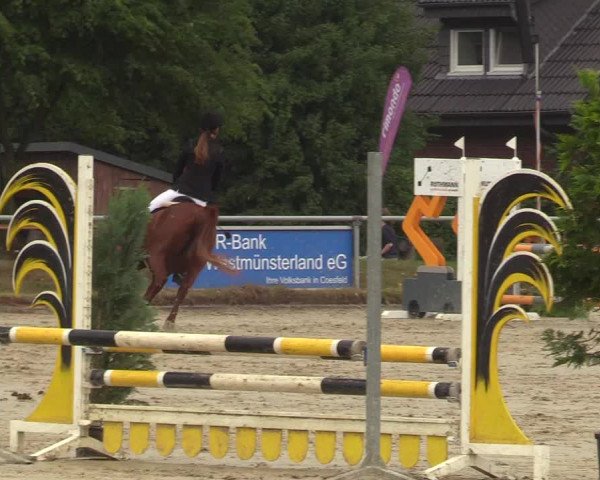 Reitturnier Coesfeld/Lette 2017