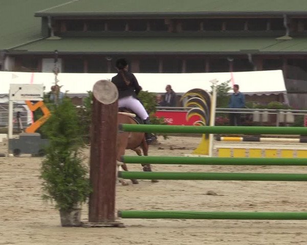 Reitturnier Coesfeld/Lette 2017