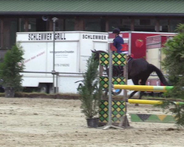 Reitturnier Coesfeld/Lette 2017