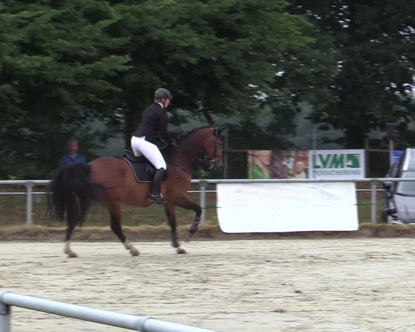 Reitturnier Coesfeld/Lette 2017