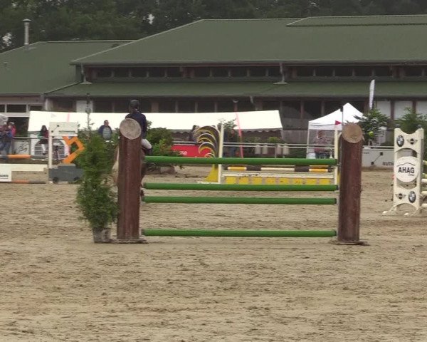 Reitturnier Coesfeld/Lette 2017