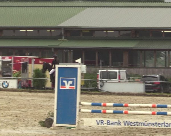 Reitturnier Coesfeld/Lette 2017