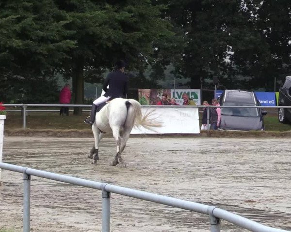Reitturnier Coesfeld/Lette 2017