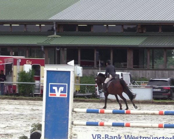 Reitturnier Coesfeld/Lette 2017