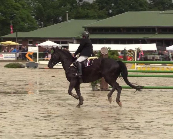 Reitturnier Coesfeld/Lette 2017