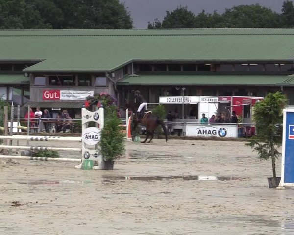 Reitturnier Coesfeld/Lette 2017