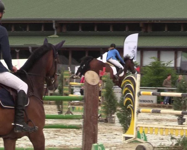 Reitturnier Coesfeld/Lette 2017