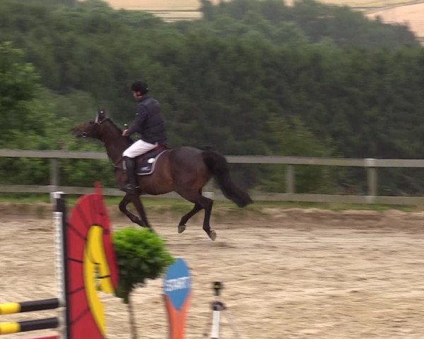 Reitturnier Kalenborn Hegehof 2017