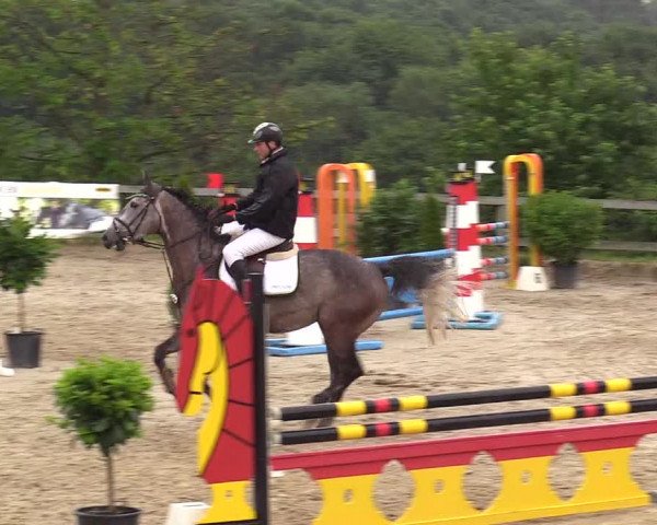 Reitturnier Kalenborn Hegehof 2017