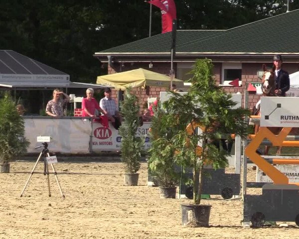 Reitturnier Coesfeld/Lette 2017