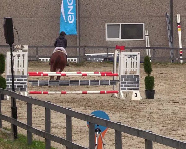 Reitturnier Kalenborn Hegehof 2017