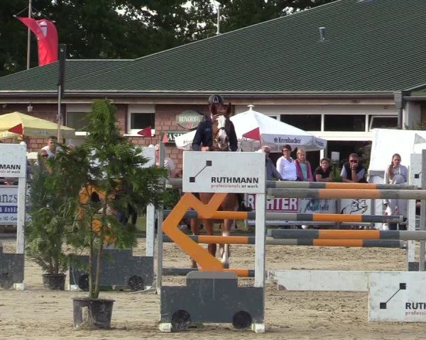 Reitturnier Coesfeld/Lette 2017