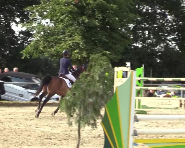 Reitturnier Coesfeld/Lette 2017