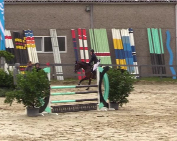 Reitturnier Kalenborn Hegehof 2017