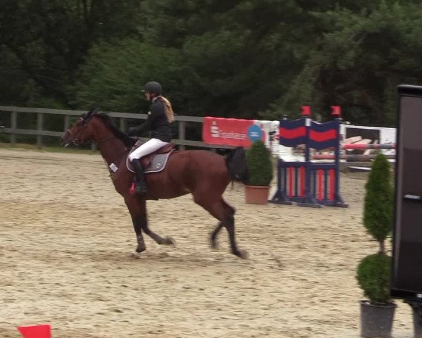 Reitturnier Kalenborn Hegehof 2017