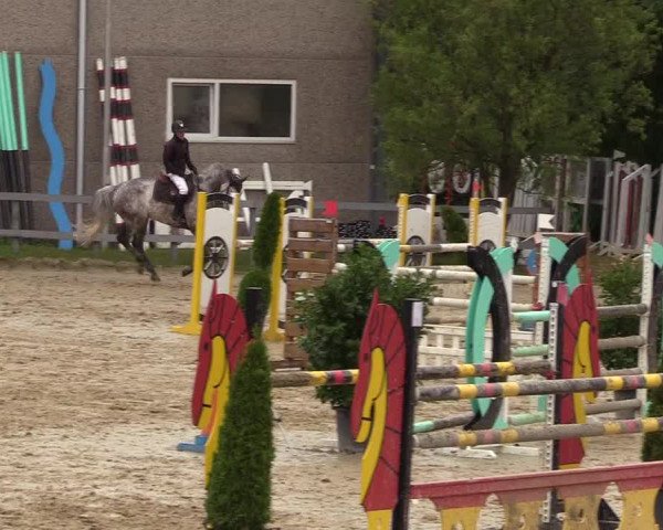 Reitturnier Kalenborn Hegehof 2017