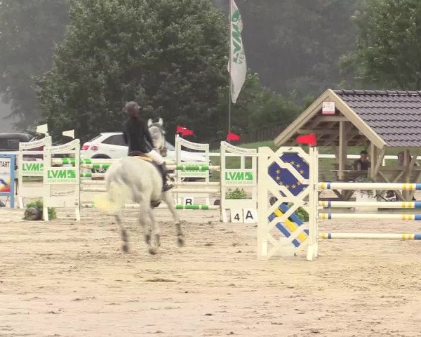 Reitturnier Melle-Ostenfelde 2017