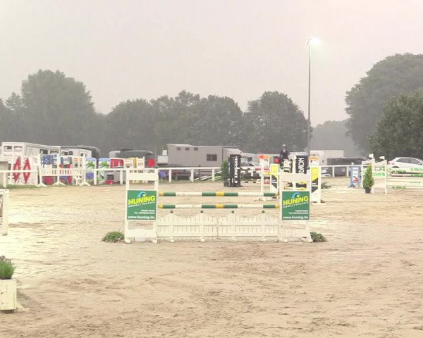 Reitturnier Melle-Ostenfelde 2017