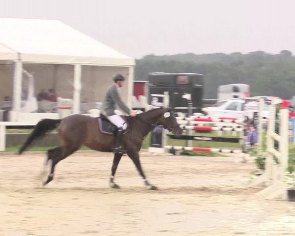 Reitturnier Melle-Ostenfelde 2017