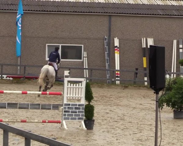 Reitturnier Kalenborn Hegehof 2017