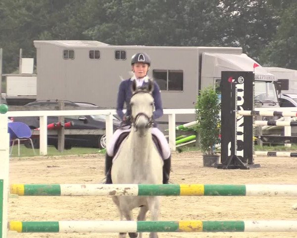 Reitturnier Melle-Ostenfelde 2017