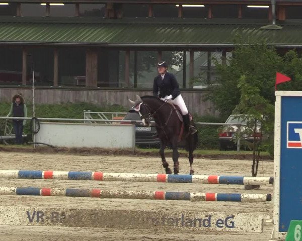 Reitturnier Coesfeld/Lette 2017