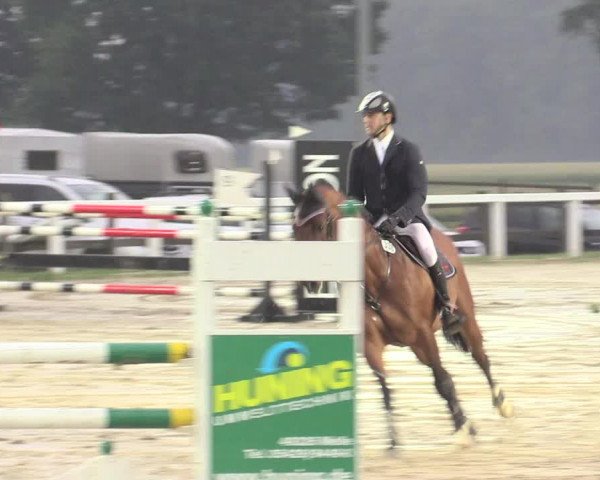 Reitturnier Melle-Ostenfelde 2017