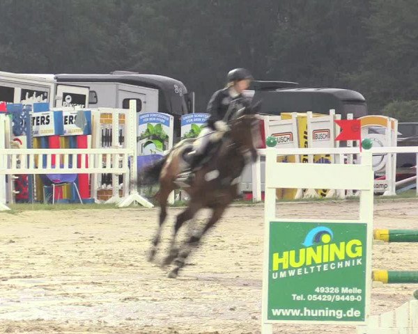 Reitturnier Melle-Ostenfelde 2017