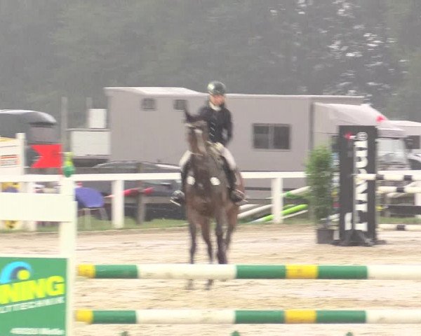 Reitturnier Melle-Ostenfelde 2017