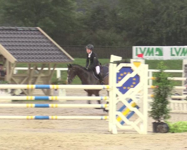 Reitturnier Melle-Ostenfelde 2017