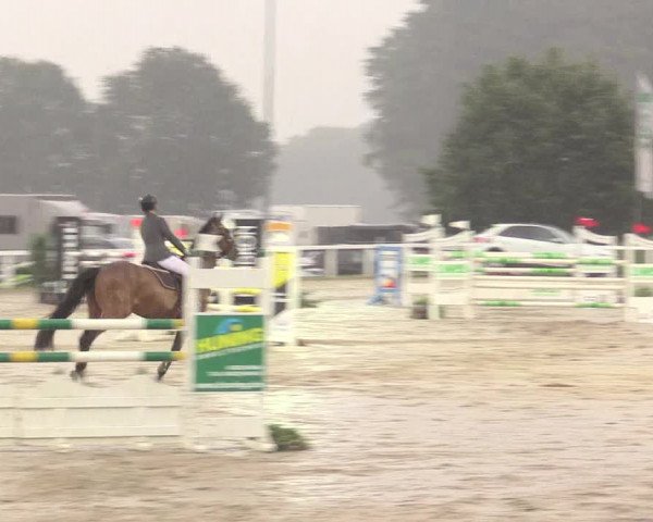 Reitturnier Melle-Ostenfelde 2017