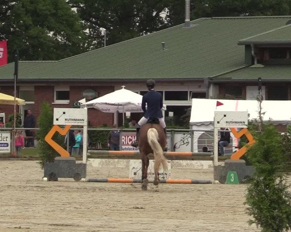 Reitturnier Coesfeld/Lette 2017