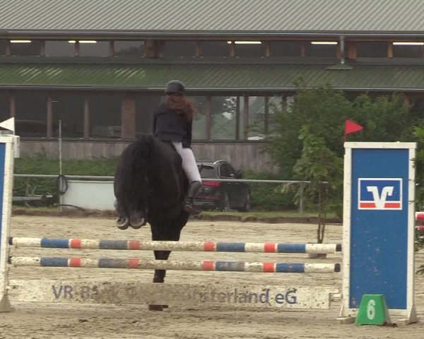 Reitturnier Coesfeld/Lette 2017