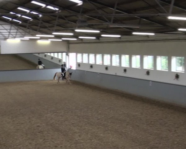 Reitturnier Melle-Ostenfelde 2017
