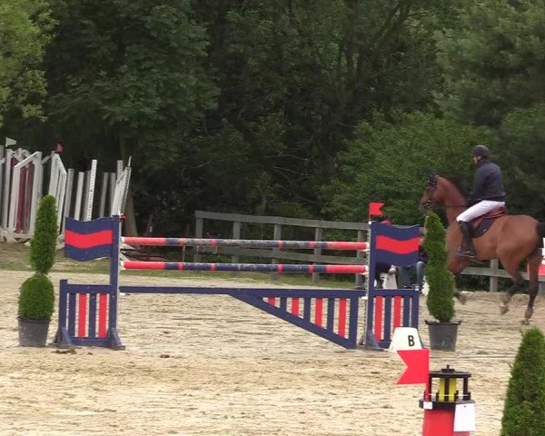 Reitturnier Kalenborn Hegehof 2017