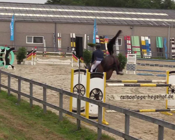 Reitturnier Kalenborn Hegehof 2017