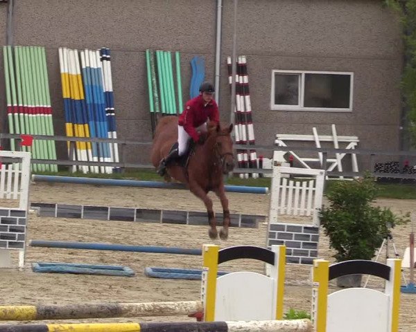 Reitturnier Kalenborn Hegehof 2017