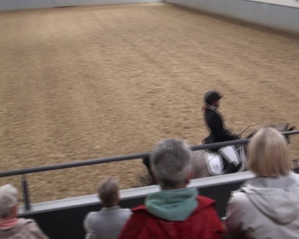 Reitturnier Melle-Ostenfelde 2017