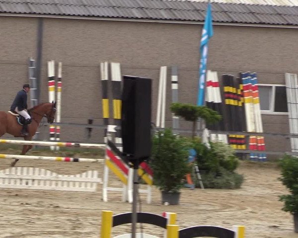 Reitturnier Kalenborn Hegehof 2017